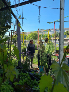 City-Zen-Boden-Garten-Donaukanal-3