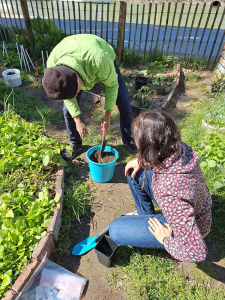 City-Zen-Boden-Garten-Donaukanal-5