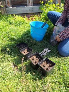 City-Zen-Boden-Garten-Donaukanal-6