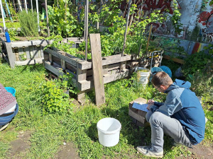 City-Zen-Boden-Garten-Donaukanal-7