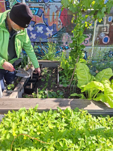 City-Zen-Boden-Garten-Donaukanal-8