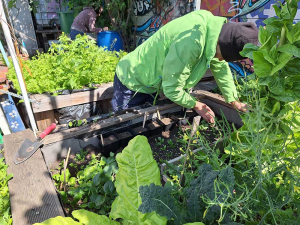 City-Zen-Boden-Garten-Donaukanal-9