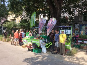 Gemeinschaftsgarten Donaukanal Weltumwelttag 5