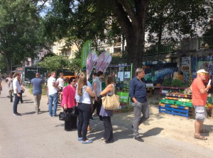 Gemeinschaftsgarten Donaukanal Weltumwelttag 1