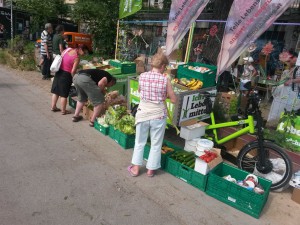 Gemeinschaftsgarten Donaukanal Weltumwelttag 7