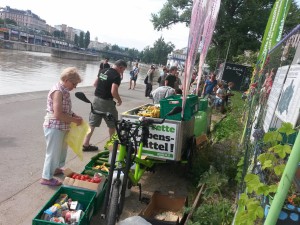 Gemeinschaftsgarten Donaukanal Weltumwelttag 6