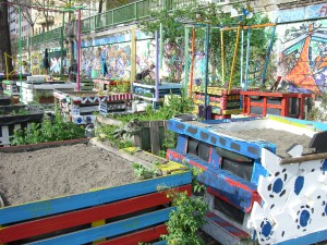 Gemeinschaftsgarten Donaukanal CIMG6925       