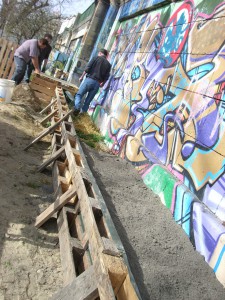 Gemeinschaftsgarten Donaukanal CIMG6937          