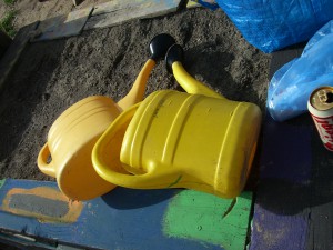 Gemeinschaftsgarten Donaukanal CIMG6953          