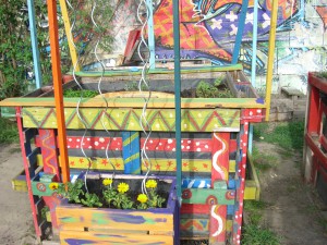 Gemeinschaftsgarten Donaukanal CIMG6988          