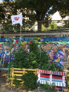 Gemeinschaftsgarten Donaukanal 1